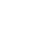 dogs